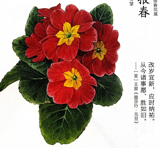 <strong>廣州市明樂(lè)儀器有限公司</strong>